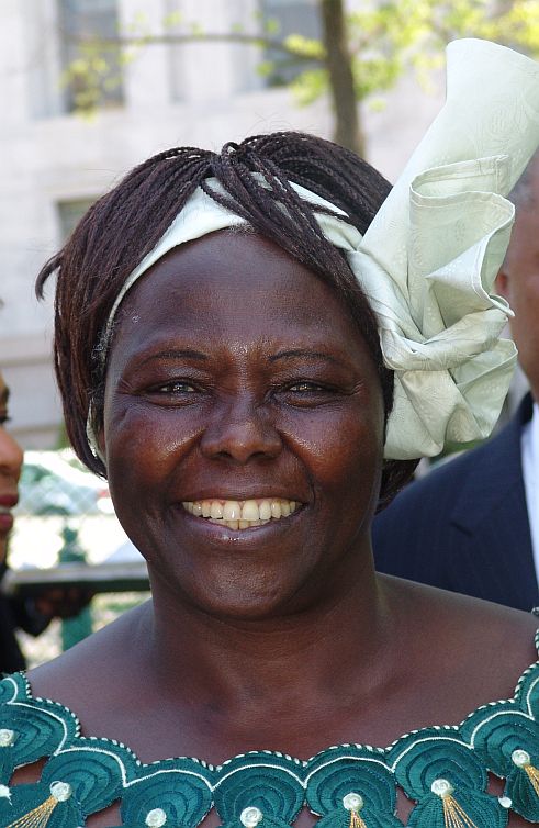 Wangari Maathai: Building change by planting trees
